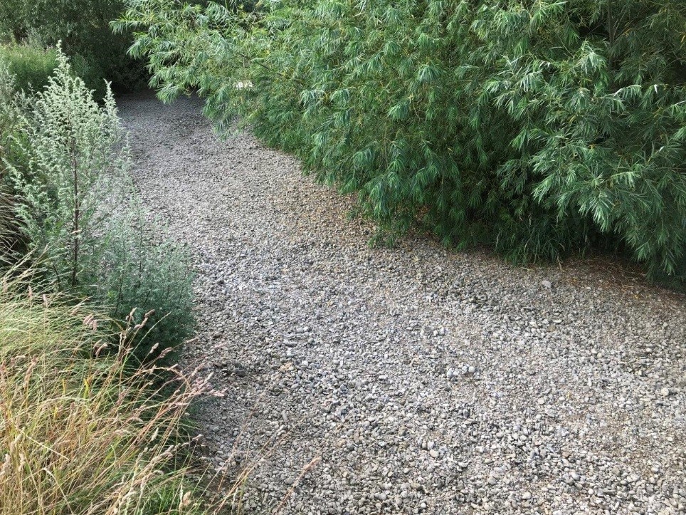 Image of the River Stour in drought in 2019