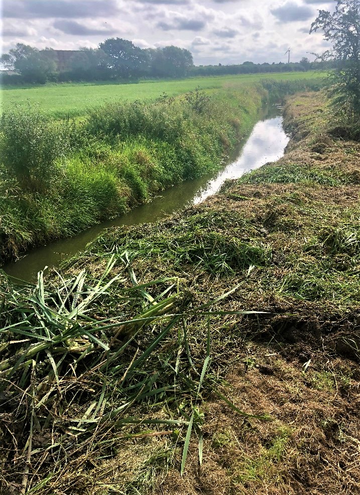 An image of a downstream section of the River Eau where maintenance has been done. 