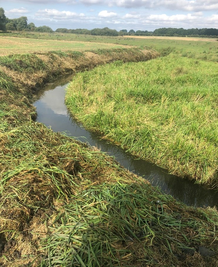 An image of a downstream section of the River Eau where maintenance has been done. 