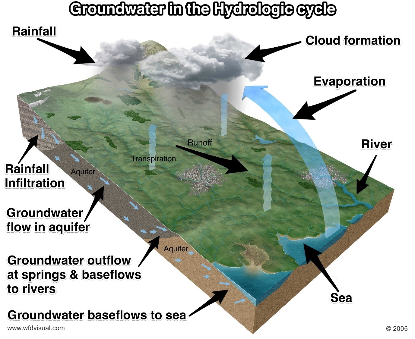 A diagram showing the water cycle, emphasising the role of groundwater. Rainwater infiltrates the ground, flows through the aquifer, outflows at springs and baseflows into rivers, as well as baseflow to the sea.