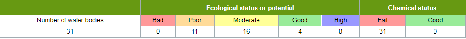 A table showing the ecological status of surface waters in 2019, with 11 rated as poor, 16 rated as moderate and 4 rated as good. Chemical status shows 31 fail and 0 good.