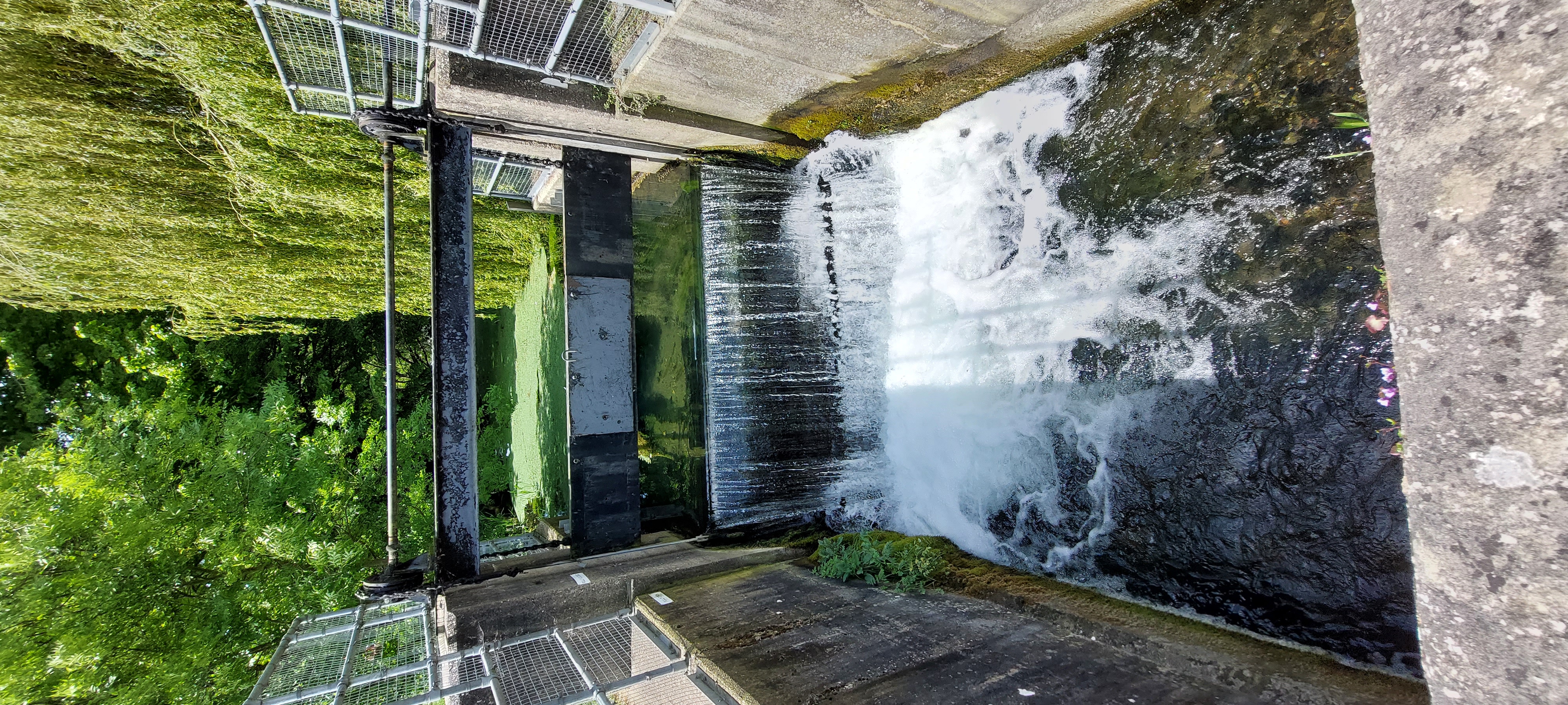 Cogglesford Mill Tilting Gate