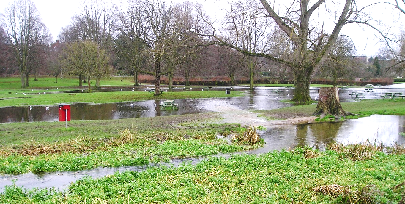Image 1: Prolonged flooding in Gadebridge Park. The water is not able to flow back into the ‘perched’ channel.
