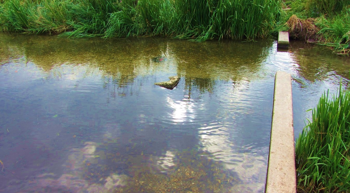 Image 5: Remains of old weirs affect fish movement and cause the build-up of sediment and vegetation.