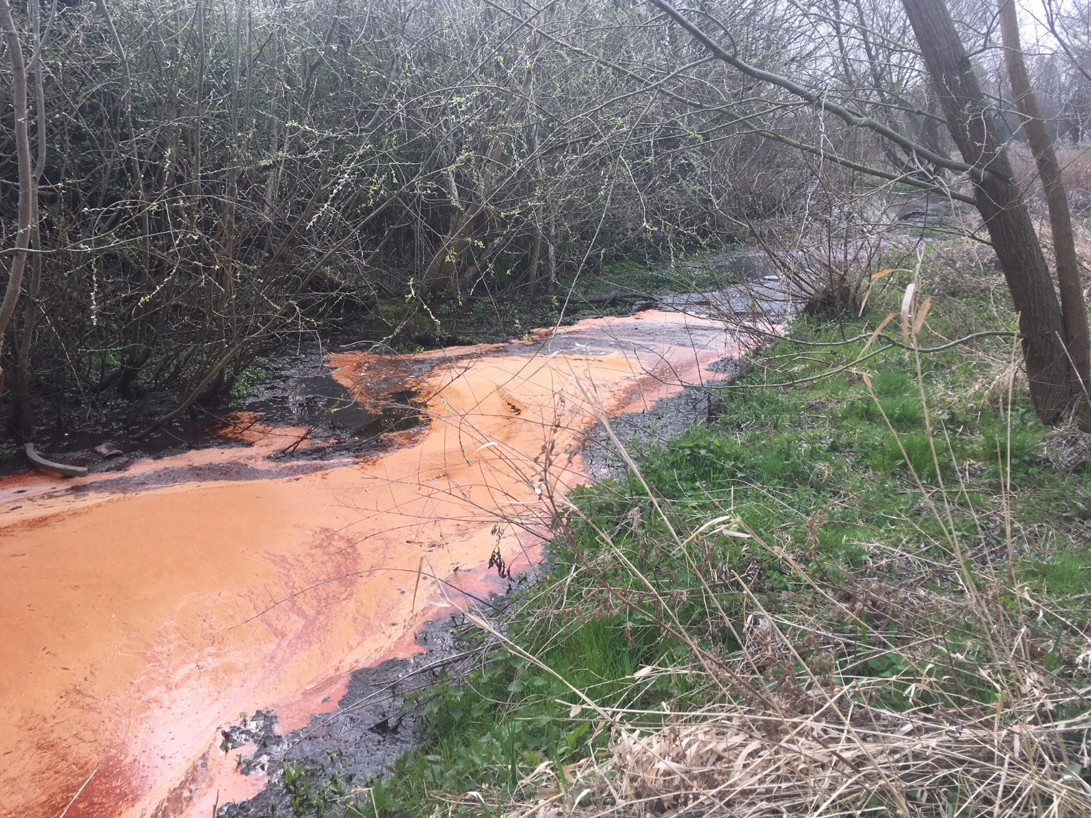 Orange substance on the River Lee, Luton