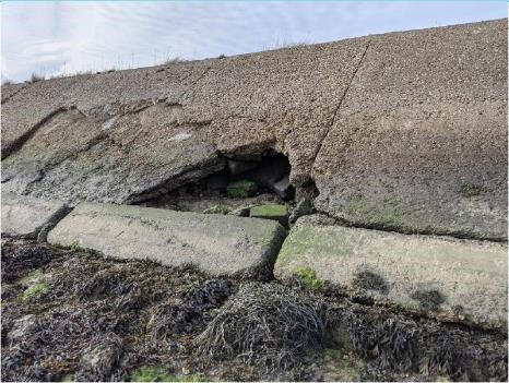 Example of damage to existing revetment (2019)