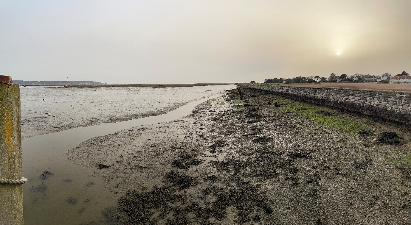 Low tide near the sea wall