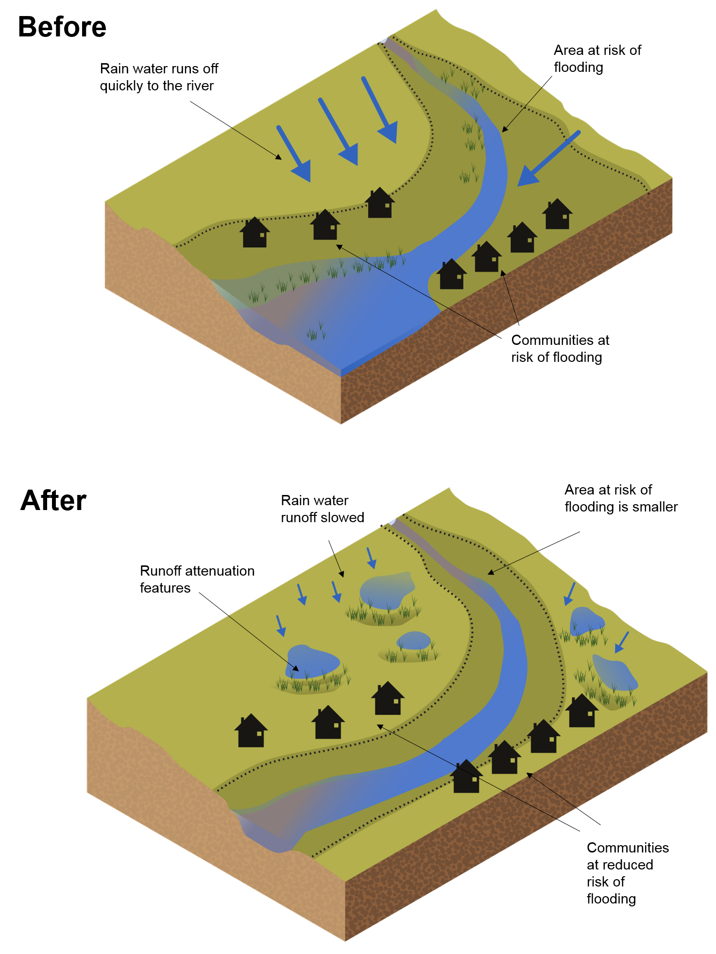 The before image shows how flooding happens without runoff attenuation. There is a large area of land with a river that flows from the top right to the bottom left of the image. To the left of the river there is a large area of open land showing that rainfall quickly runs off to the river. Along the river the image shows houses which represent communities at risk of flooding and the extent the flooding might reach. The after image shows how runoff attenuation features. There is a large area of land with a river that flows from the top right to the bottom left of the image. To the left of the river there is a large area of open land containing small to medium sized storage areas such as ponds.  Along the river there are houses which represent communities at risk of flooding and the extent the flooding might reach.