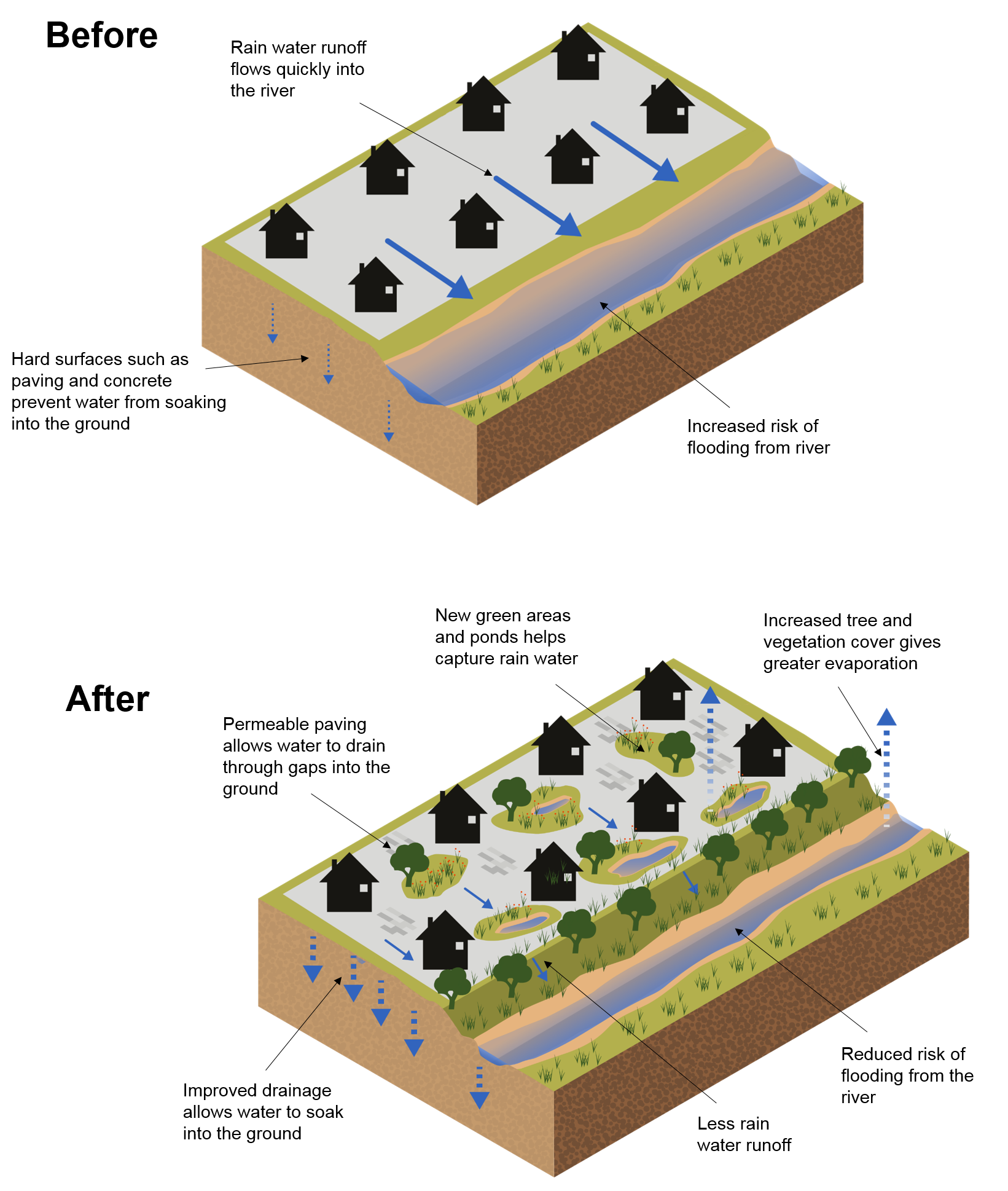 The before image shows how flooding happens before improving urban drainage. At the top of the image is a built-up area with buildings and hard surfaces such as paving and concrete, preventing water from soaking into the ground. The flow of water is shown to runoff quickly from the built-up area to a river. The after image shows how flooding happens once urban drainage has been introduced. At the top of the image is a built-up area with permeable paving allowing water to drain into the ground. New green areas and pond have been created between the buildings to help capture rainwater. Increased tree and vegetation cover gives greater evaporation. The amount of rainwater run off to the river is reduced.