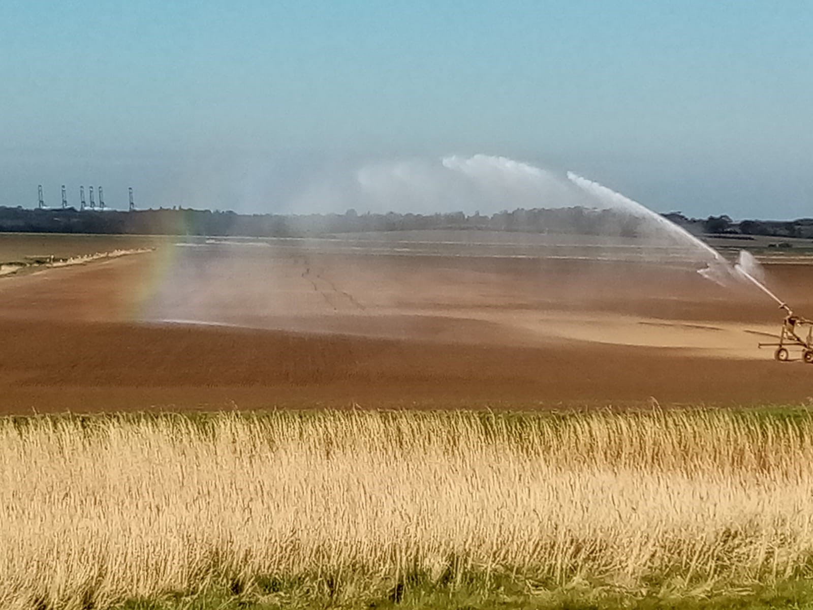 Water availability is a key concern for spray irrigators in East Suffolk