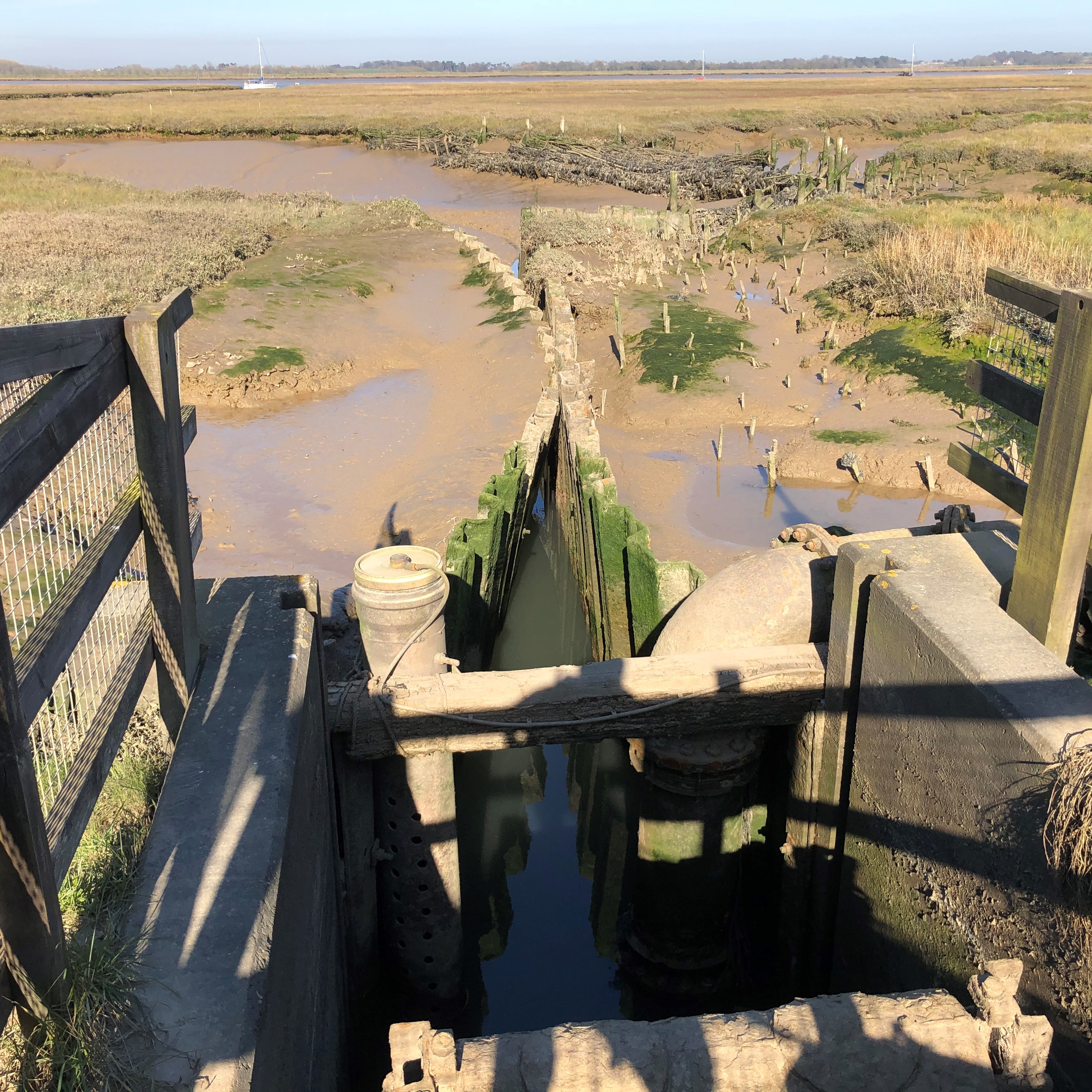 Freshwater is currently pumped to the Deben Estuary, damaging the saltmarsh.