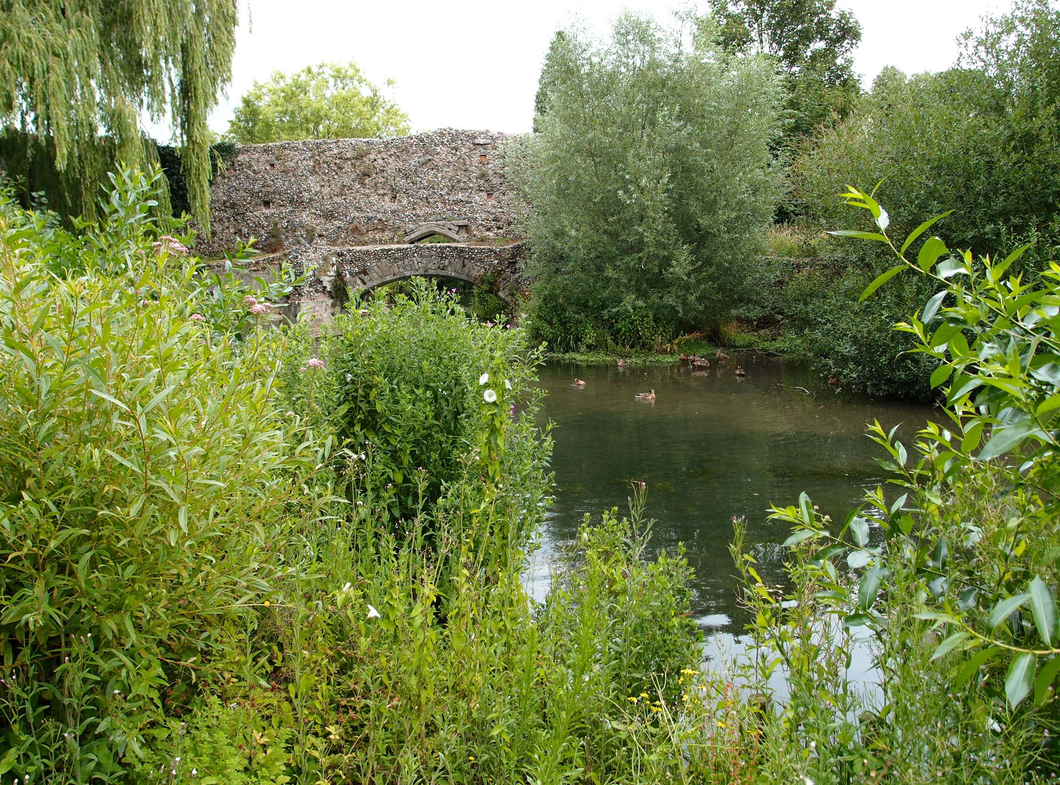 Photo of a river in Lark, in Cam and Ely Ouse catchment