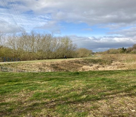 Selly Park North: The area to the right of the photo stores flood waters and when not in operation it is a wetland area 