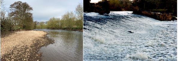 Photographs showing gravel bar and Dove Cliff weir with salmon attempting passage.
