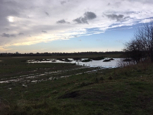 Flooding on farmland next to the drain, winter 2018