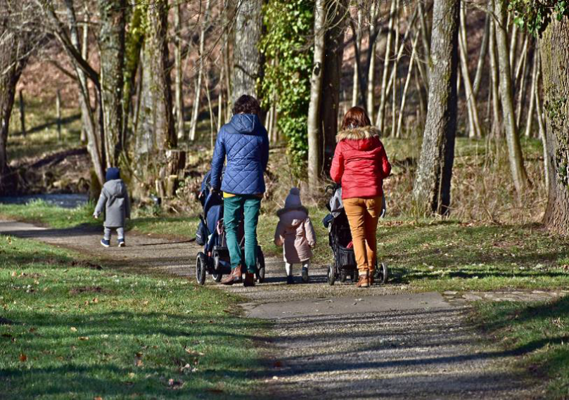 Woodland footpath